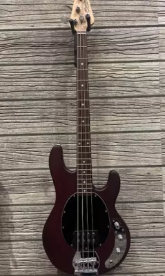 Store Special Product - Sterling by Music Man - RAY4-WS-J1